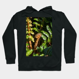 Koru Hoodie